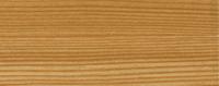 Mountain pine